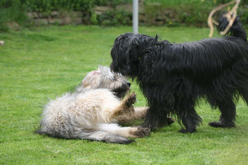 Baika und Jade