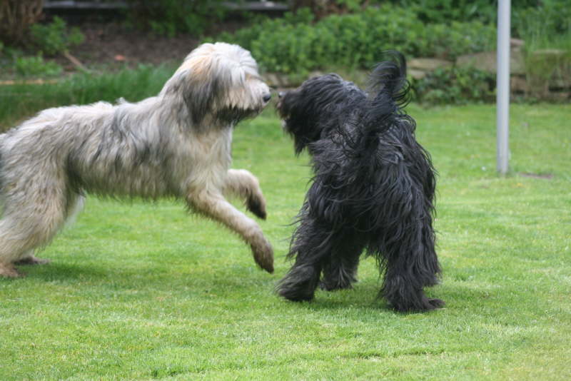 Baika und Jade