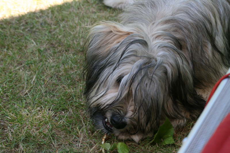 Unser Ferienbungalow