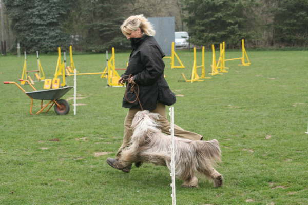 Funturnier April 2009