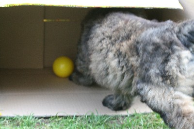img_6938_keine_angst
