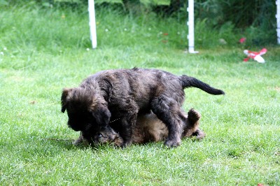 img_7102_geschwisterkampf